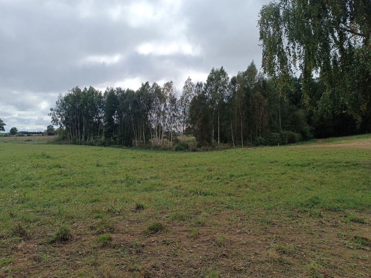 Działka rolno-budowlana Gradki. Zdjęcie 5