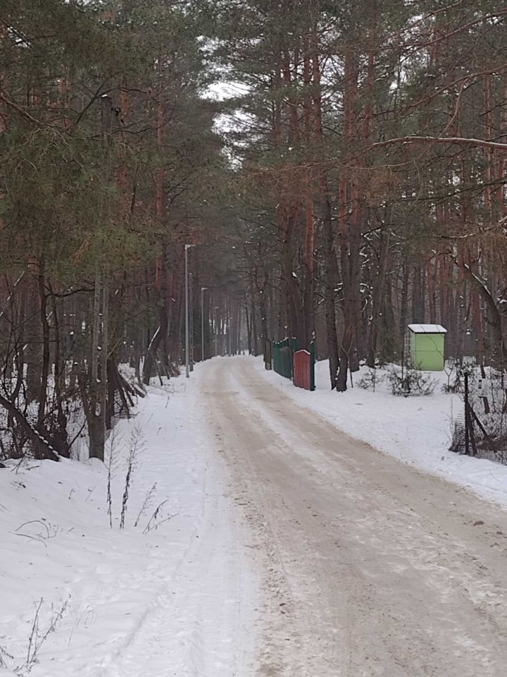 Działka budowlana Łosie. Zdjęcie 5