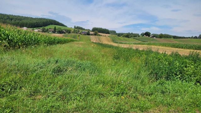 Działka rolna Sielnica. Zdjęcie 1