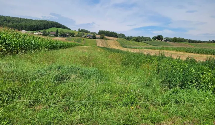 Działka rolna Sielnica