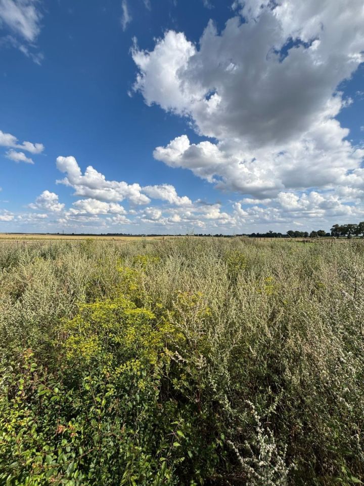 dom wolnostojący, 5 pokoi Turowo. Zdjęcie 10