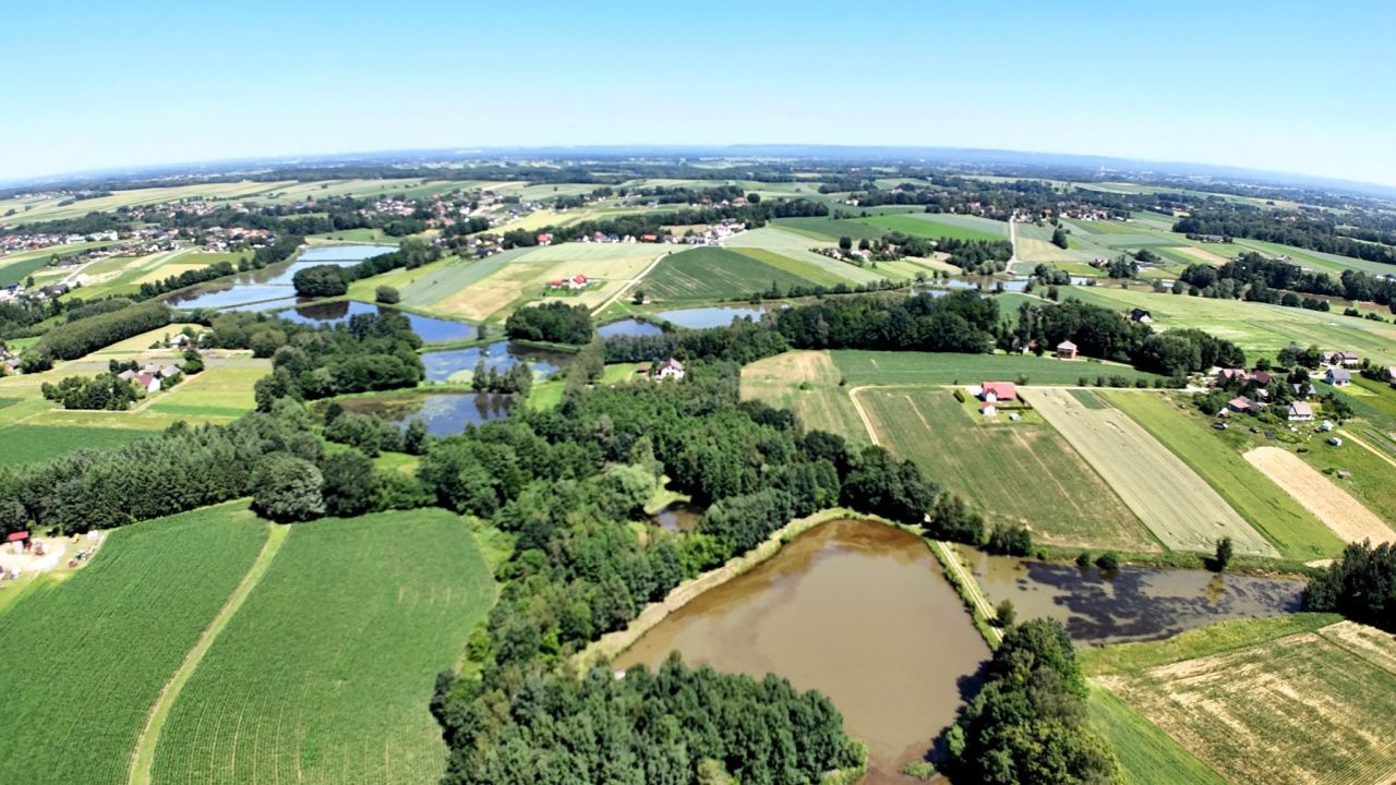 Działka rolna Osiek, ul. Podlesie. Zdjęcie 2