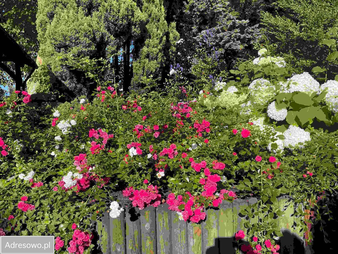 bliźniak, 6 pokoi Gdynia Orłowo, ul. Techniczna. Zdjęcie 2