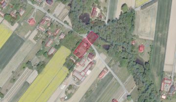Działka siedliskowa Kępa Borzechowska