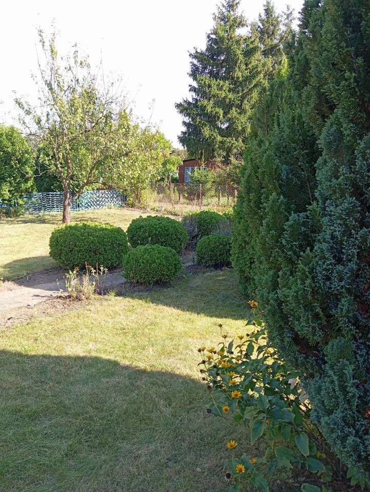 Działka rod Płock Radziwie. Zdjęcie 6