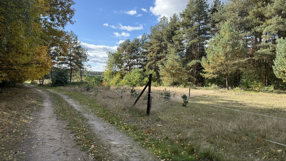 Działka budowlana Miłocice, ul. Leśna. Zdjęcie 3