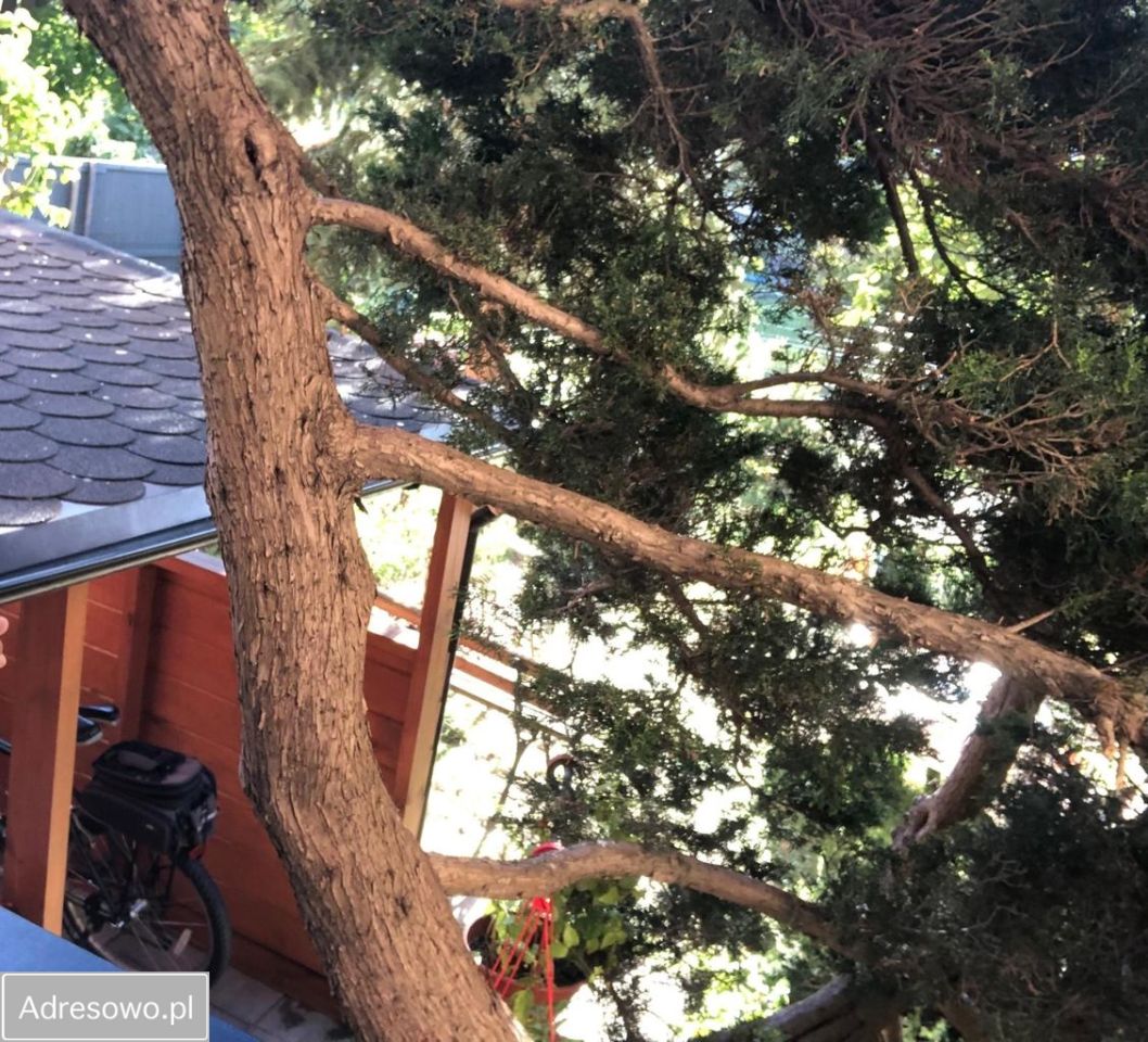 Mieszkanie 4-pokojowe Białystok Centrum, ul. Żelazna. Zdjęcie 7