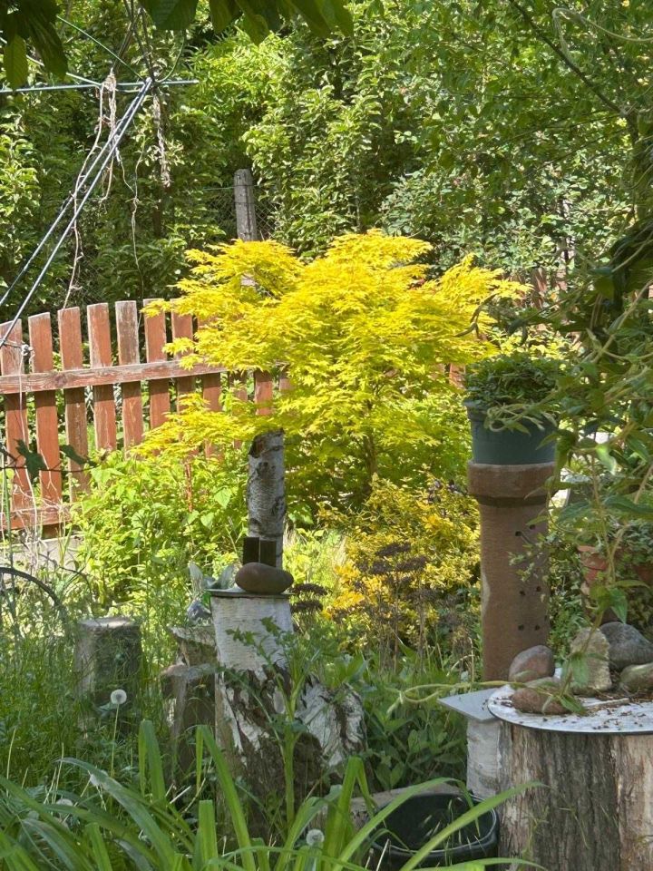 Działka rod Wrocław Ołtaszyn. Zdjęcie 8