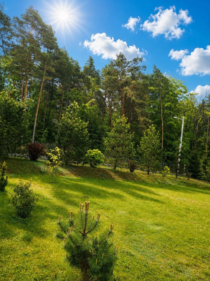 Działka budowlana Korniaktów Północny. Zdjęcie 4