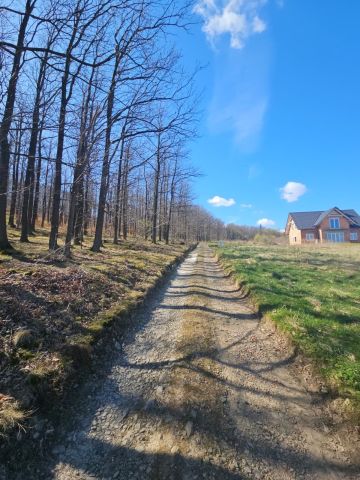 Działka Kłonice. Zdjęcie 5