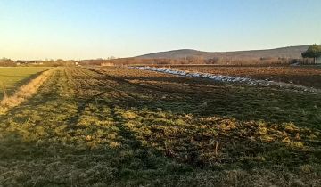 Działka rolno-budowlana Nowy Skoszyn, Nowy Skoszyn