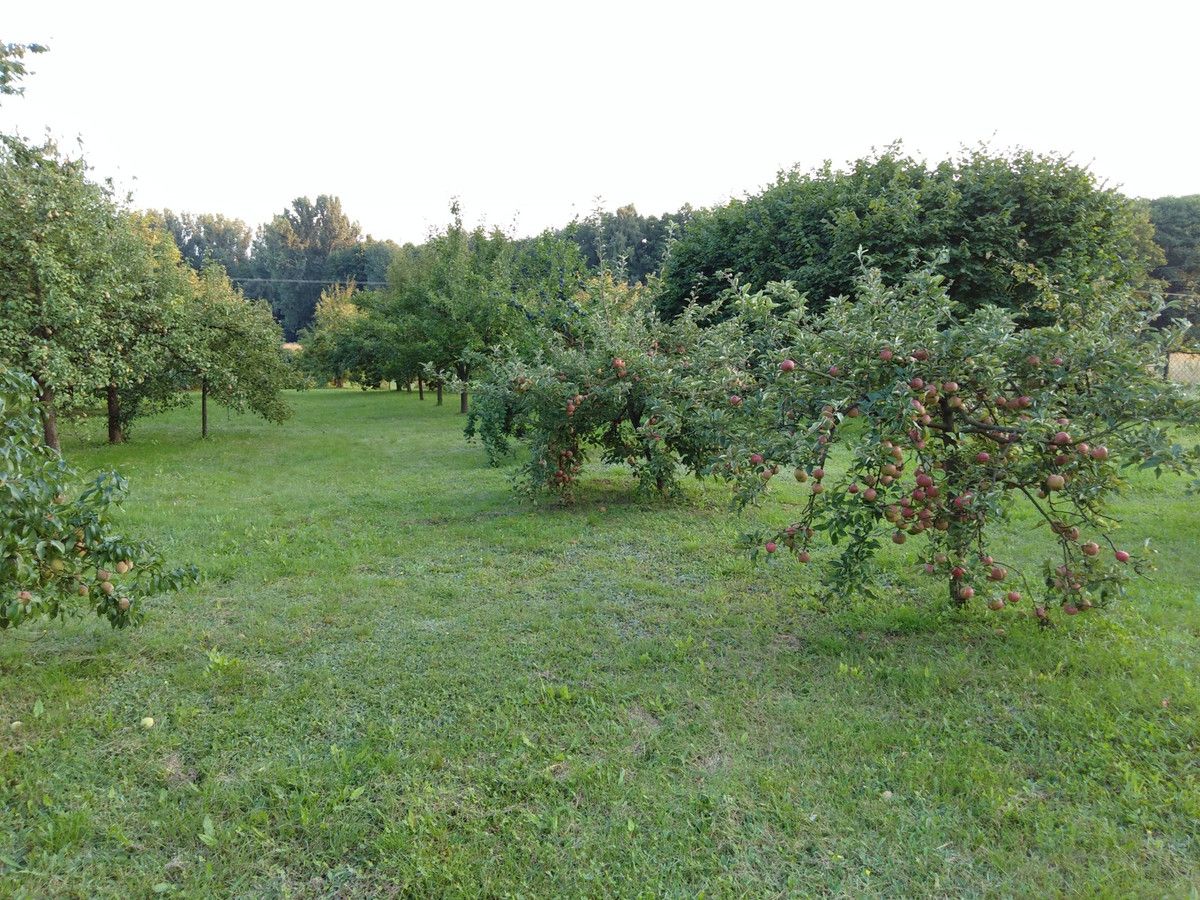 Działka siedliskowa Sobieszyn