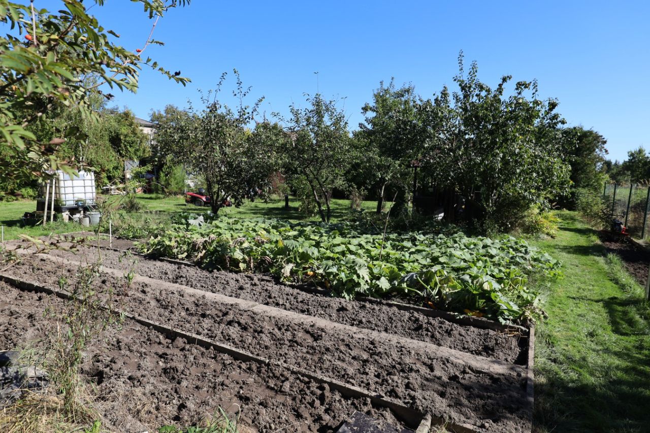 Działka budowlana Miedziana Góra. Zdjęcie 16