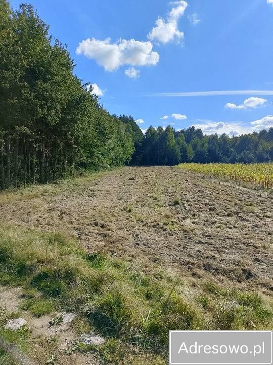 Działka rolna Podwody-Kolonia. Zdjęcie 7