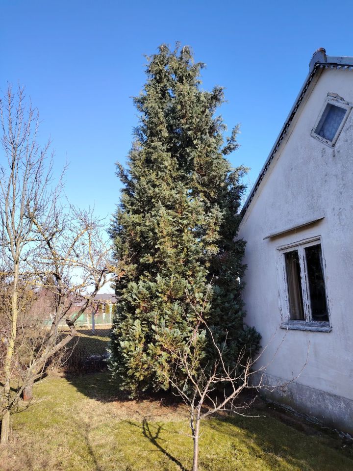 Działka rod Ostrołęka. Zdjęcie 6