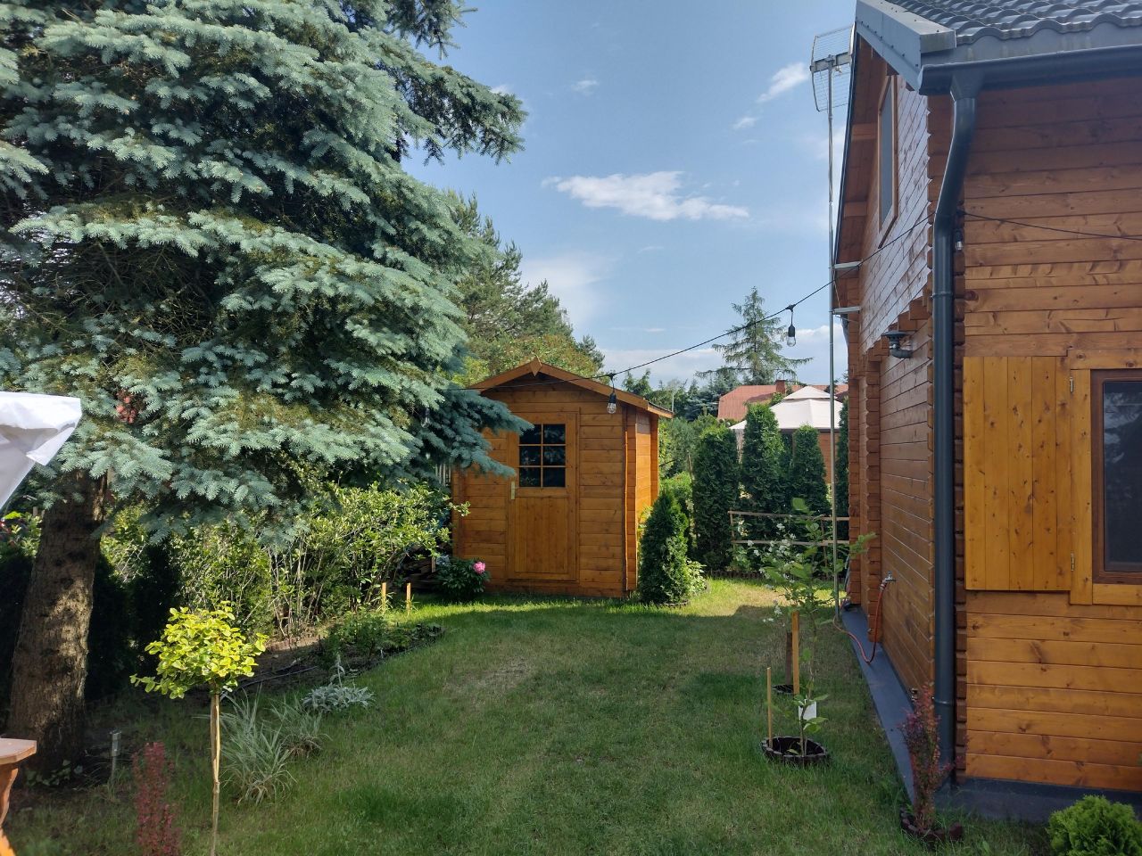 Działka rod Kamieńczyk, ul. Kukawska. Zdjęcie 7