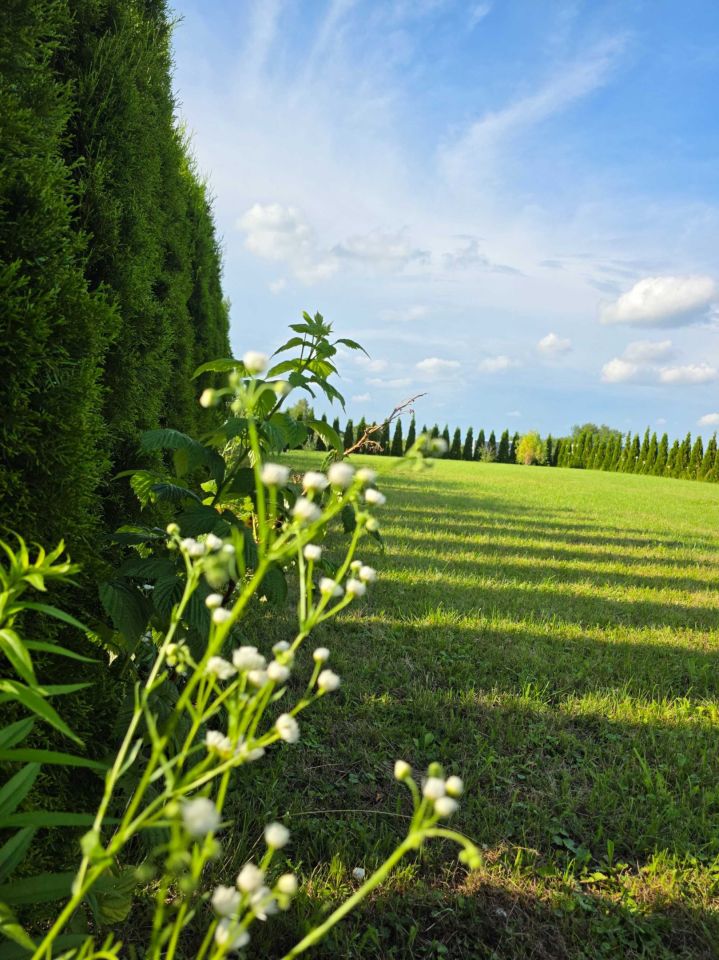 Działka rod Zamość. Zdjęcie 4