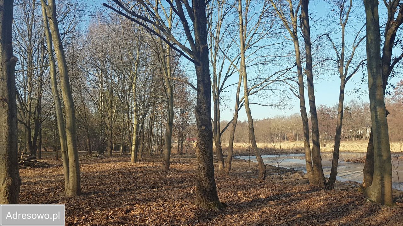 Działka rekreacyjna Głosków, ul. Millenium. Zdjęcie 3