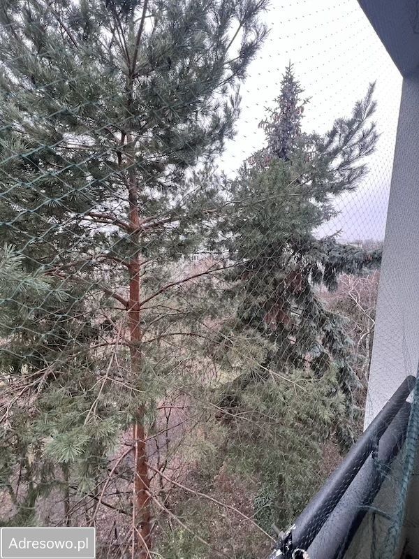 Mieszkanie 3-pokojowe Warszawa Mokotów, ul. Czerniakowska. Zdjęcie 9