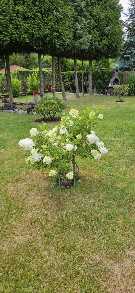 Działka rod Sosnowiec Niwka, ul. Portowa. Zdjęcie 15