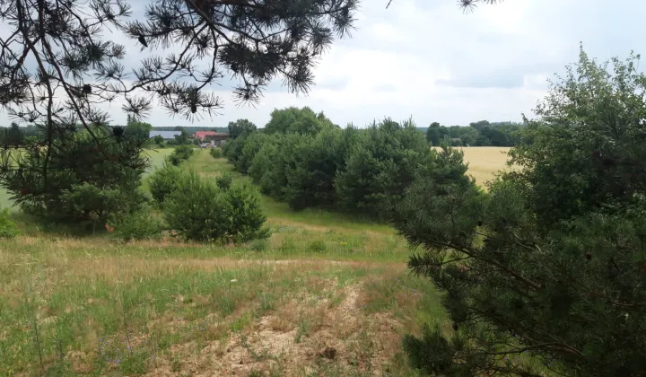 Działka budowlana Świerczyna