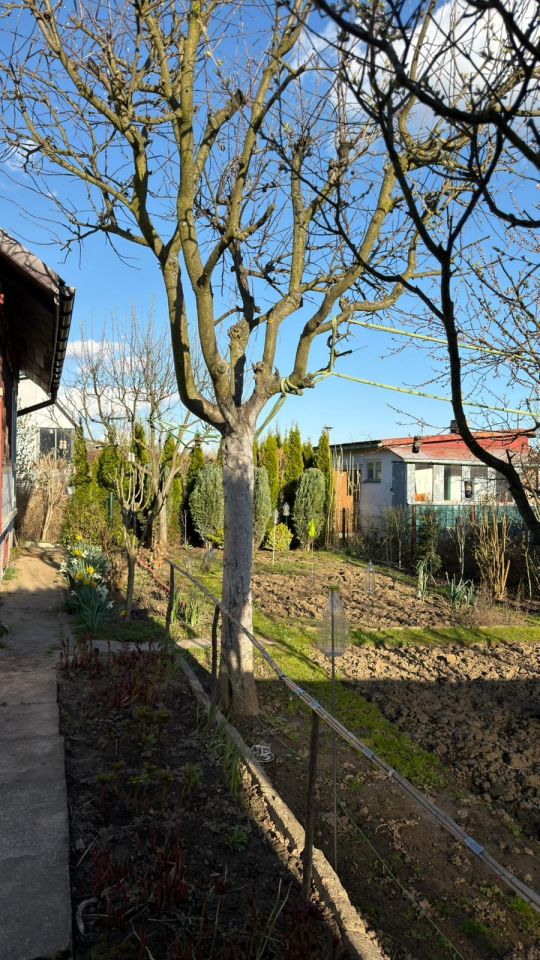 Działka rod Kraków Wzgórza Krzesławickie, Kocmyrzowska 38. Zdjęcie 10