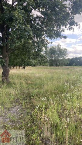Działka siedliskowa Przeginia Narodowa. Zdjęcie 2