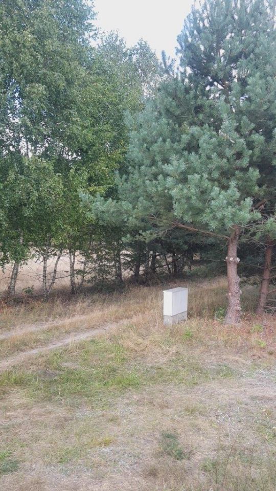 Działka rolna Osiek, ul. Polna. Zdjęcie 2