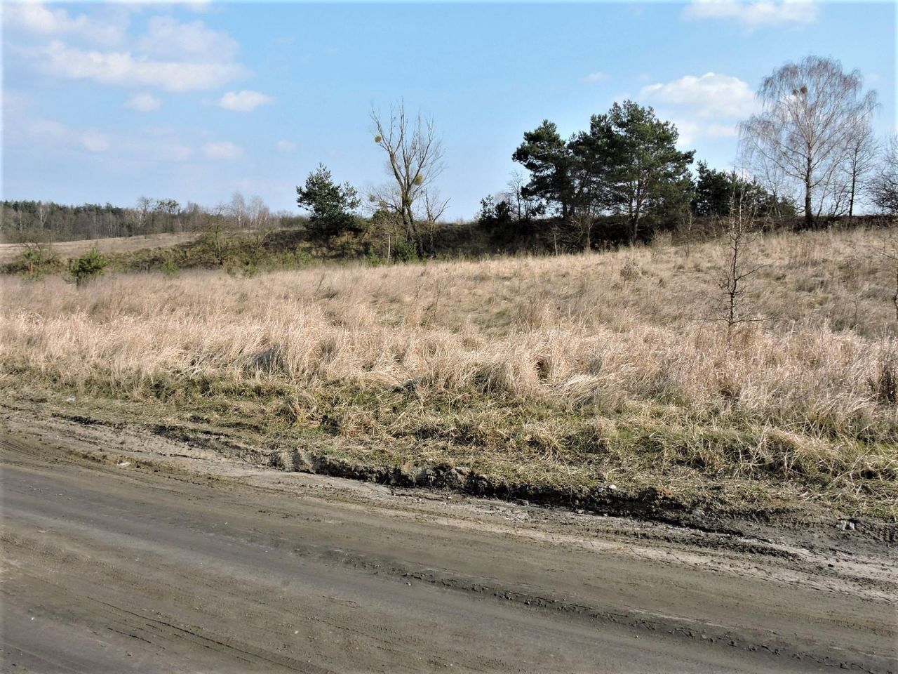 Działka rolno-budowlana Wiejca. Zdjęcie 9