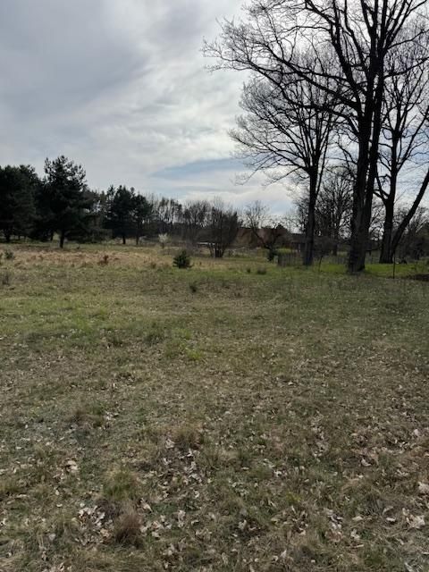 Działka rolno-budowlana Gola Wielka. Zdjęcie 5