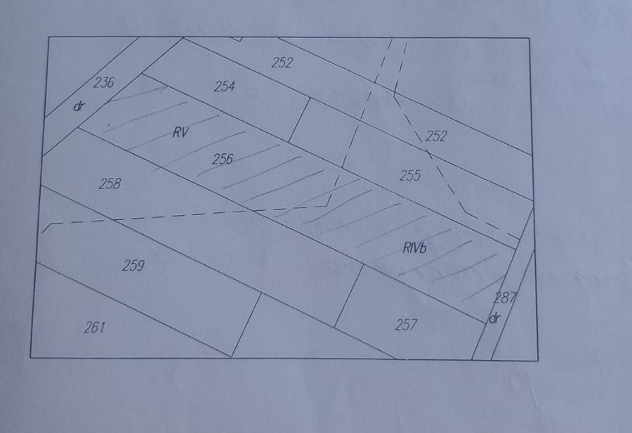 Działka rolna Burzenin. Zdjęcie 2