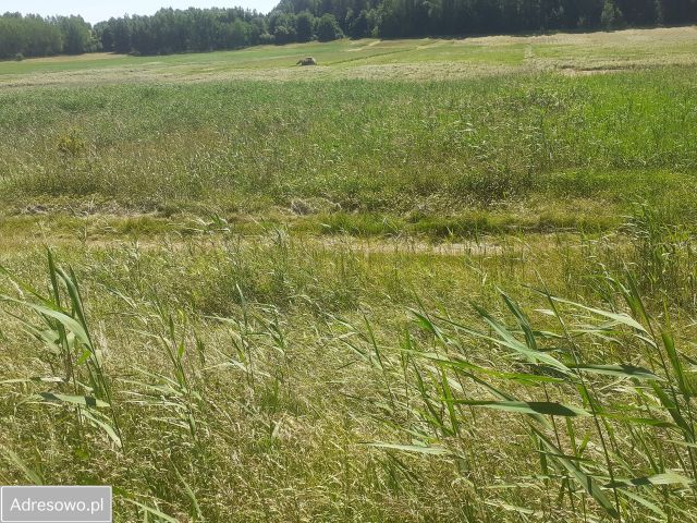 Działka rolna Różnowo. Zdjęcie 1