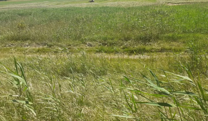 Działka rolna Różnowo