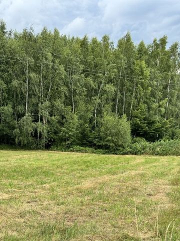 Działka rolna Szymbark Szklarka. Zdjęcie 1