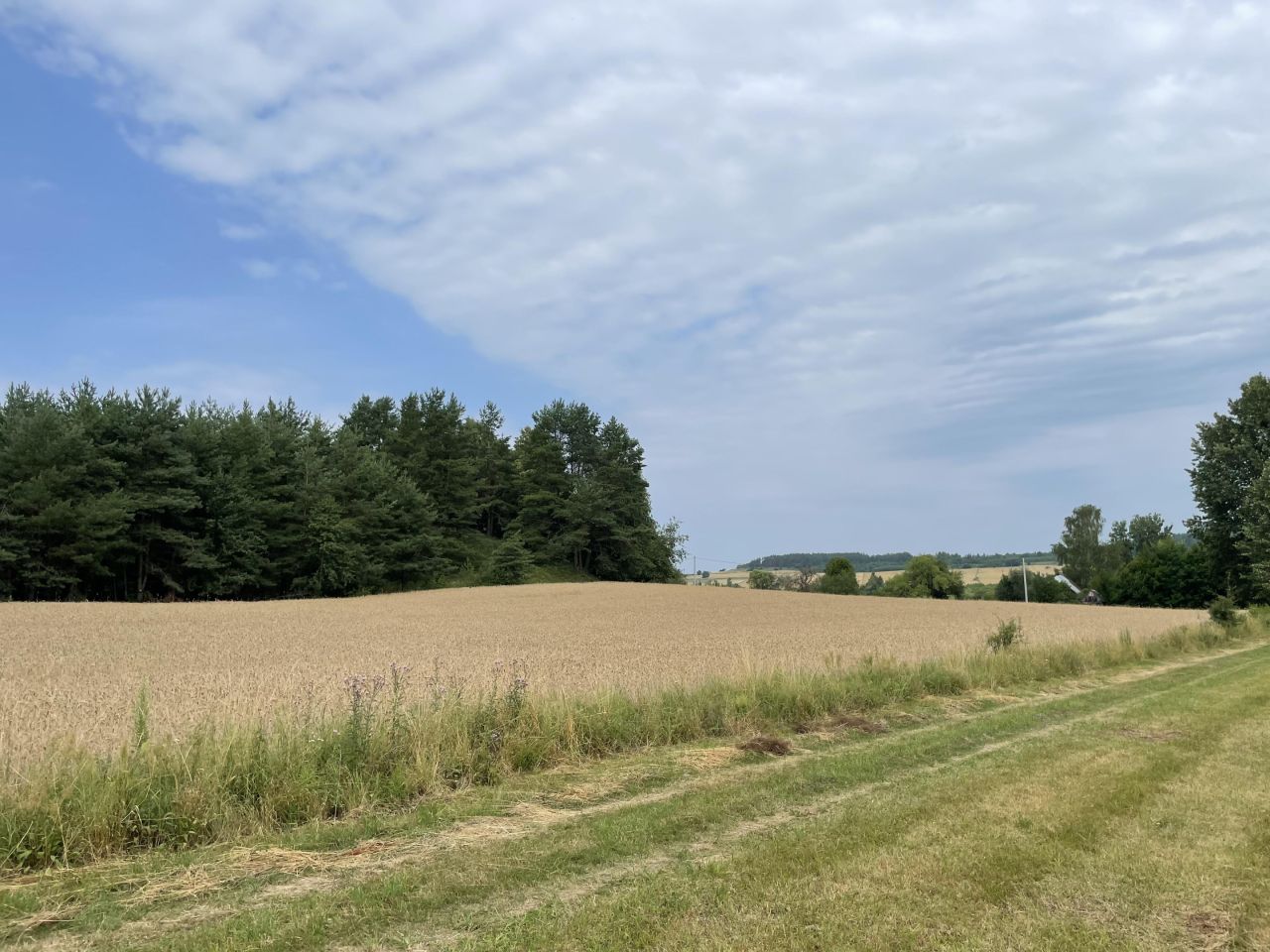 Działka rolno-budowlana Kopczany. Zdjęcie 12