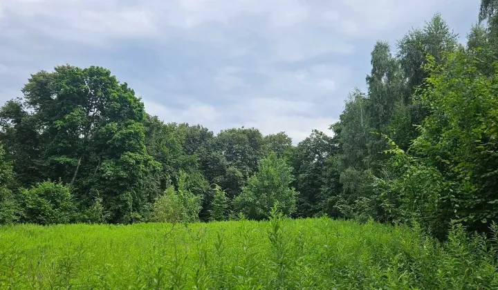 Działka rolna Bochotnica