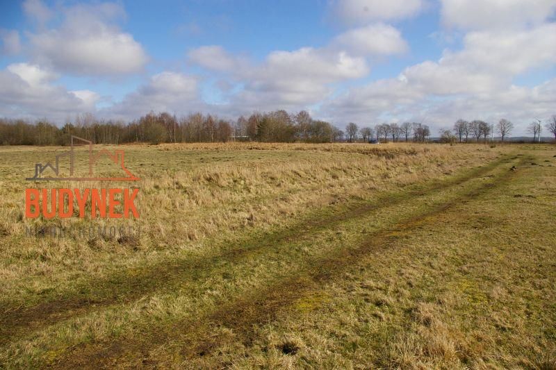 Działka rolna Domasławice. Zdjęcie 12
