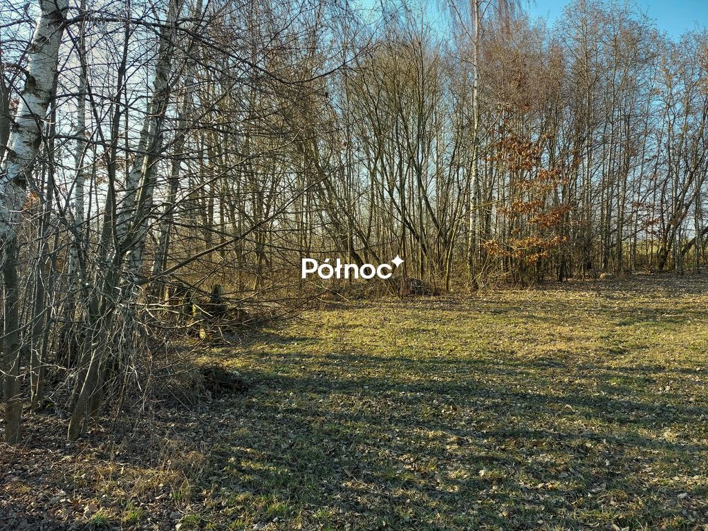 Działka rolno-budowlana Wyrzyki. Zdjęcie 10