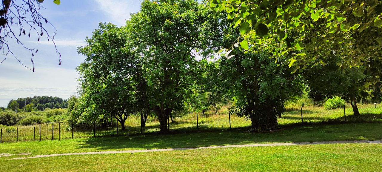 Działka inwestycyjna Modła. Zdjęcie 6