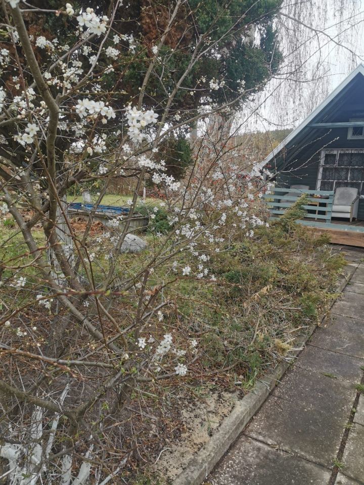 Działka rod Sopot Centrum, ul. Mikołaja Reja. Zdjęcie 6