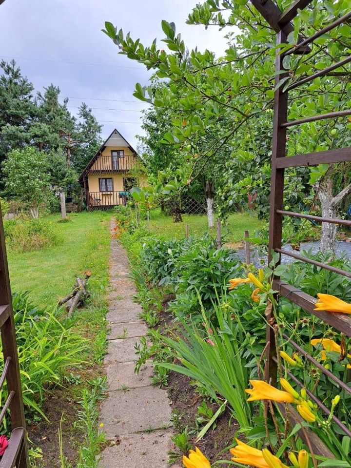 Działka rod Jastrzębie-Zdrój. Zdjęcie 3