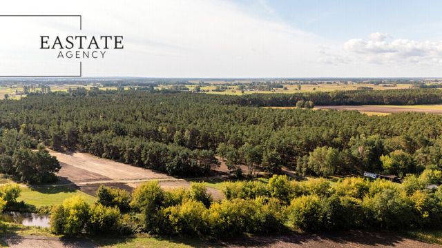 Działka leśna Maurzyce. Zdjęcie 2