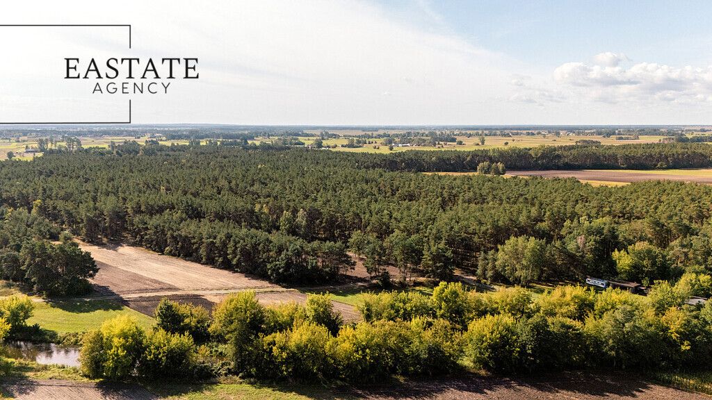 Działka leśna Maurzyce. Zdjęcie 2