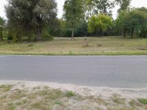 Działka rolno-budowlana Zaździerz. Zdjęcie 1