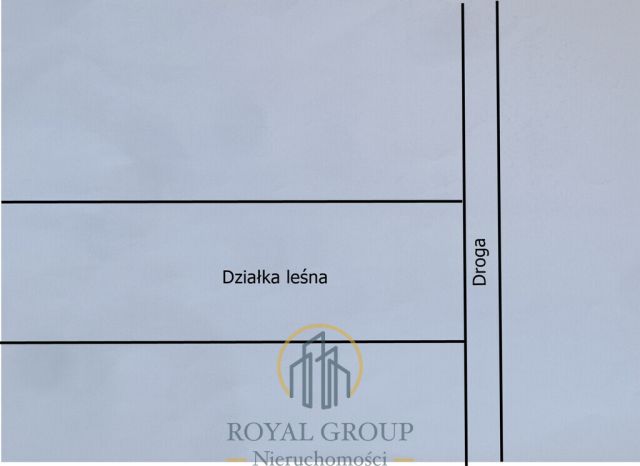 Działka leśna Jawidz. Zdjęcie 8