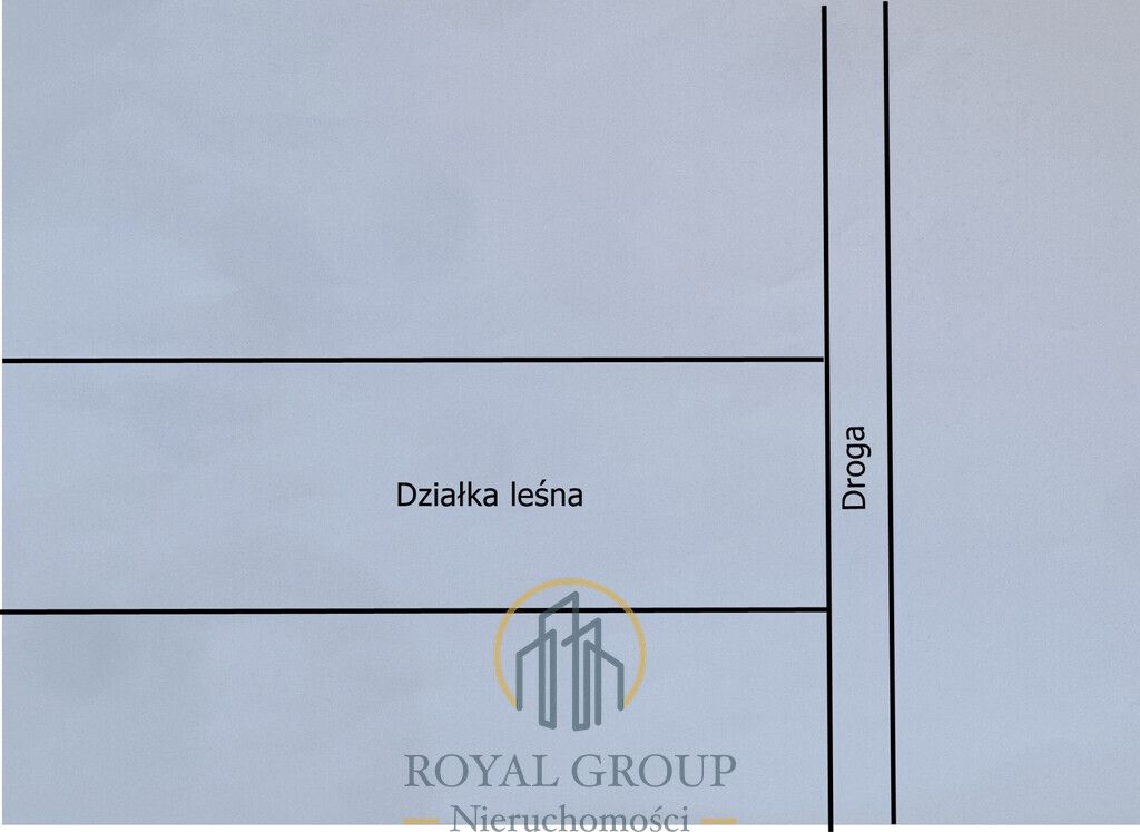 Działka leśna Jawidz. Zdjęcie 8