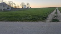 Działka budowlana Brus. Zdjęcie 4