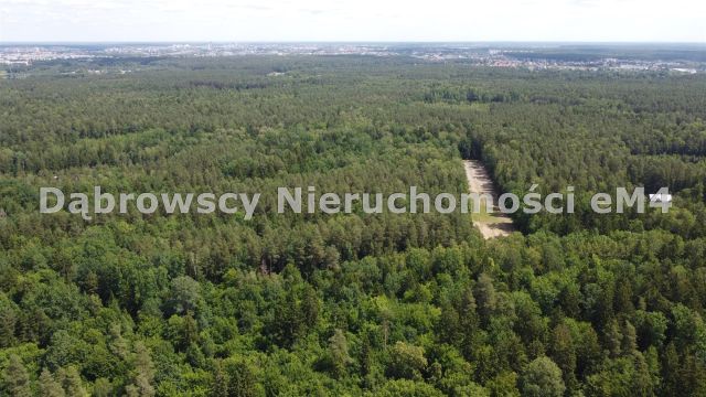 Działka Niewodnica Kościelna, Wrzosowa. Zdjęcie 3