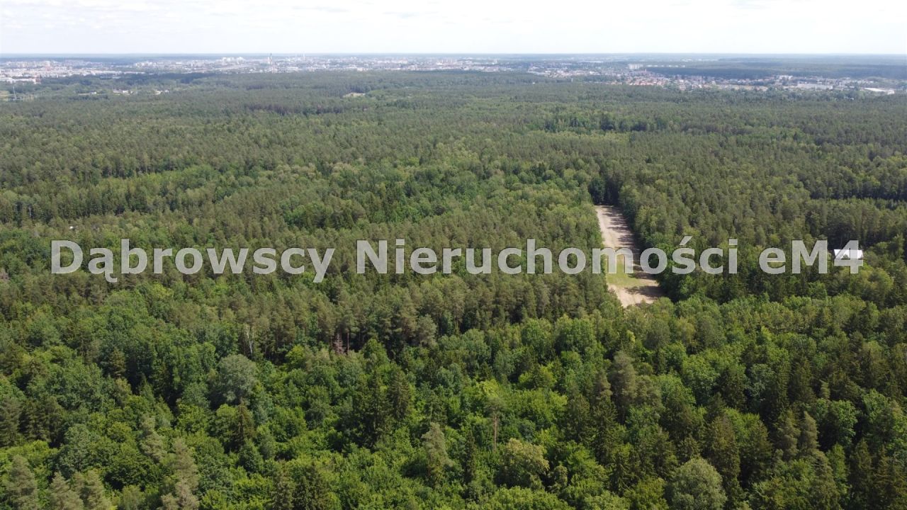 Działka Niewodnica Kościelna, Wrzosowa. Zdjęcie 3