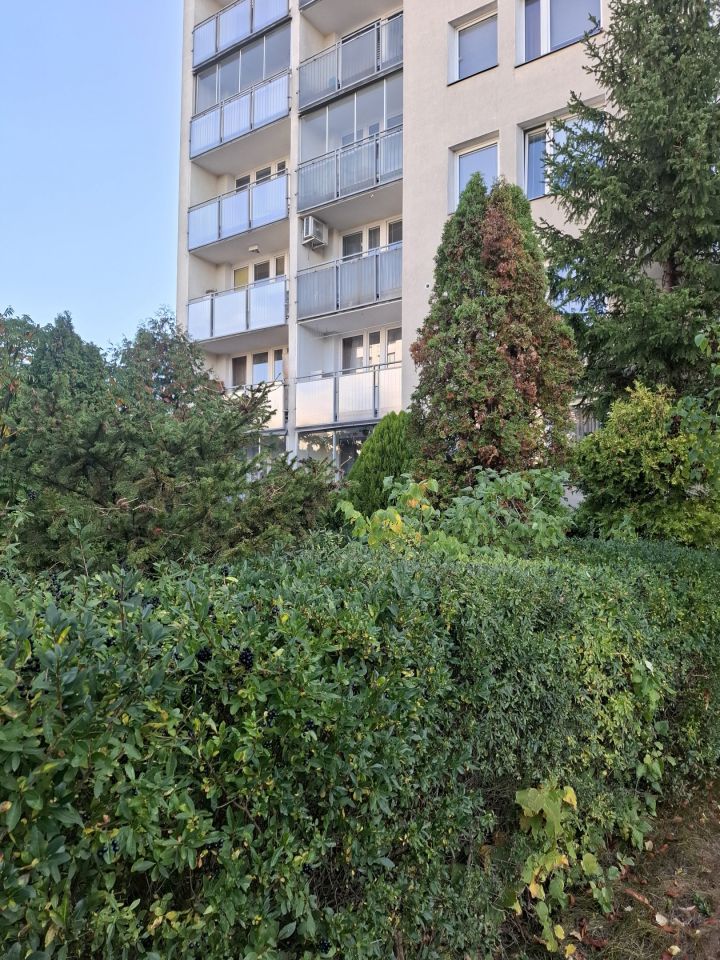 Mieszkanie 2-pokojowe Warszawa Ursynów, ul. Dereniowa. Zdjęcie 1
